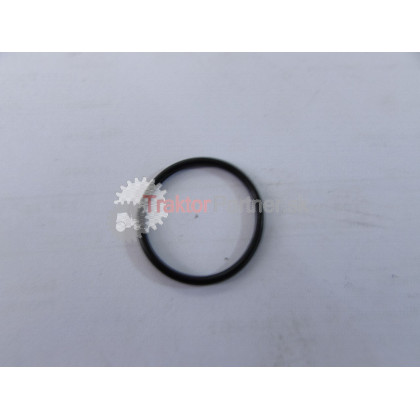 Krúžok 25x2 - 93 2152