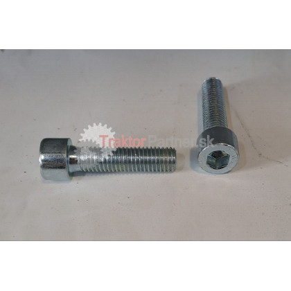 Skrutka M 10x40 imbus - 99 0451