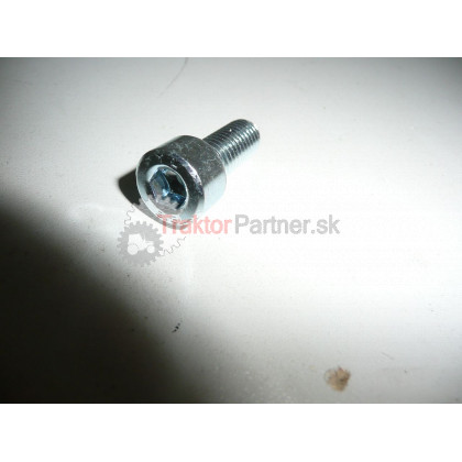 Skrutka M 8x20 IMBUS - 99 2116