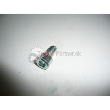 Skrutka M 10x20  IMBUS - 99 2123