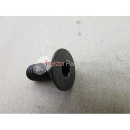 Skrutka TSPE 10.9 M 8x20 5933 [CARRARO] - 93 0226
