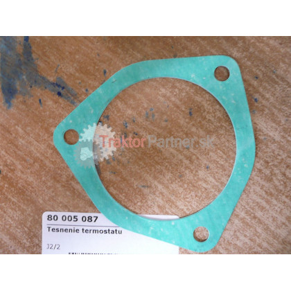 Tesnenie termostatu - 80 005 087