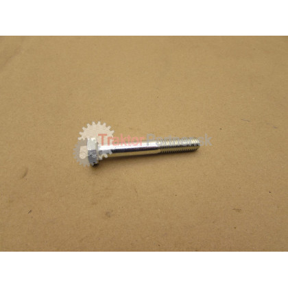 Skrutka M 10x70 ČSN  02 1101.55 - 99 0339