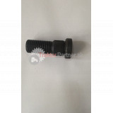 Skrutka [M20x1,5x55]