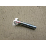 Skrutka M 12x55  zn 8.8 6-hran, celý závit