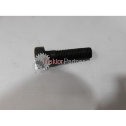 Skrutka zotrvačníka [ M12x1,5x45] - 95 0317