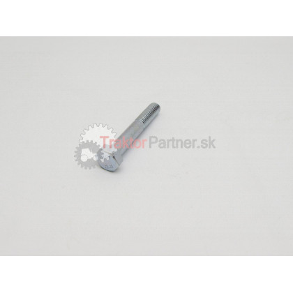 Skrutka M 8x55, pevnosť 8.8 ČSN 02 1101.55 - 99 0325