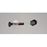 Skrutka M 6x30 [CARRARO 8.8]