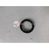 Gufero 55x72x12