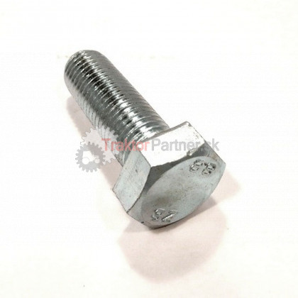 Skrutka M 20x60 Zn - 20360