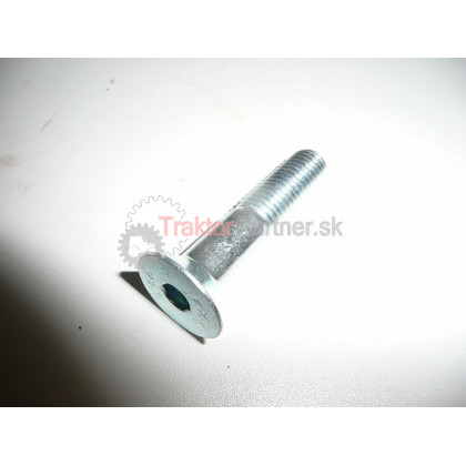 Skrutka 10x50 IMBUS 88zn - 100050
